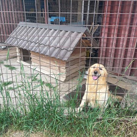 Privat Luna Lubela Экстерьер фото